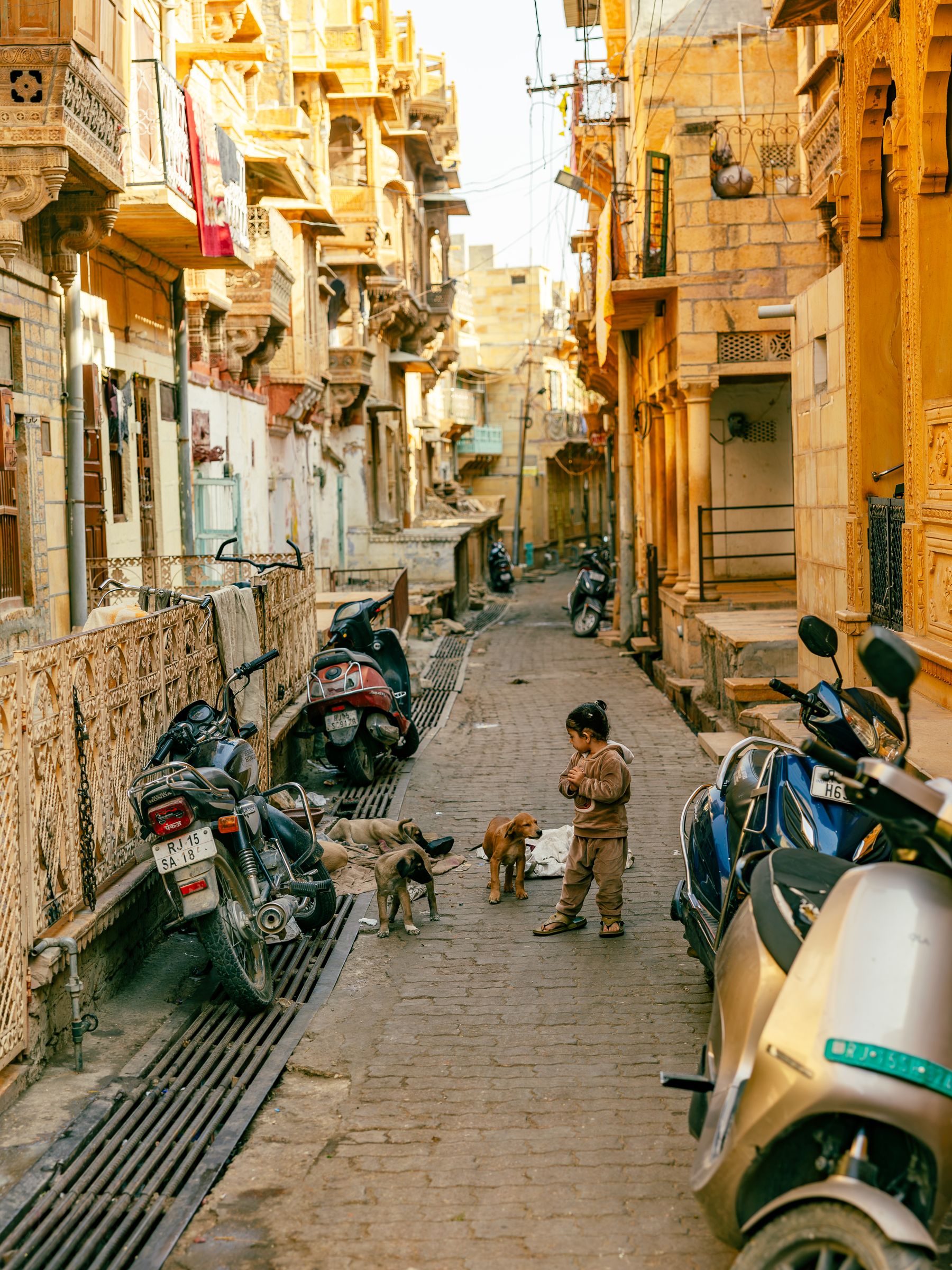 Narrow Jaisalmer Lane With Puppies and Little Girl